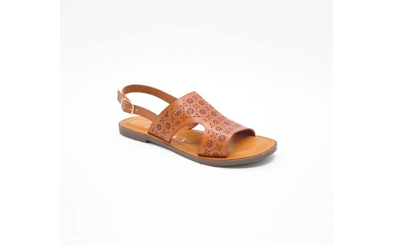 008-F142 Brown